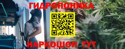 гашик Краснокаменск