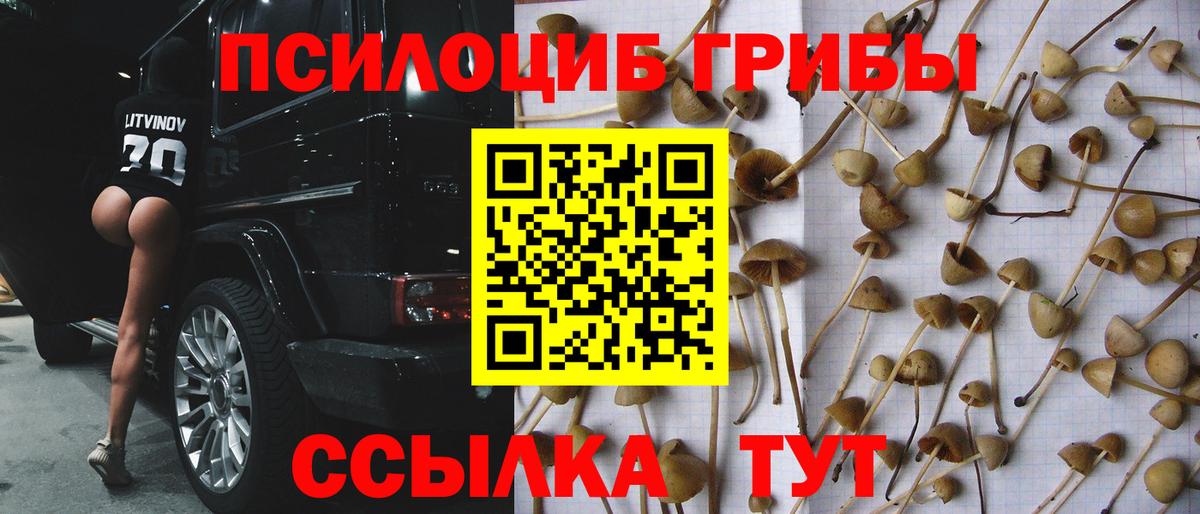 Кириши  Псилоцибиновые грибы Magic Shrooms  Галлюциногенные грибы Magic Shrooms  Вход с VPN 
